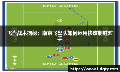 飞盘战术揭秘：南京飞盘队如何运用快攻制胜对手